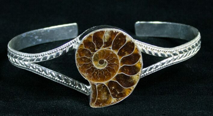 Beautiful Ammonite Fossil Bracelet #4618